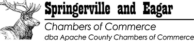Springerville-Eagar logo (image)