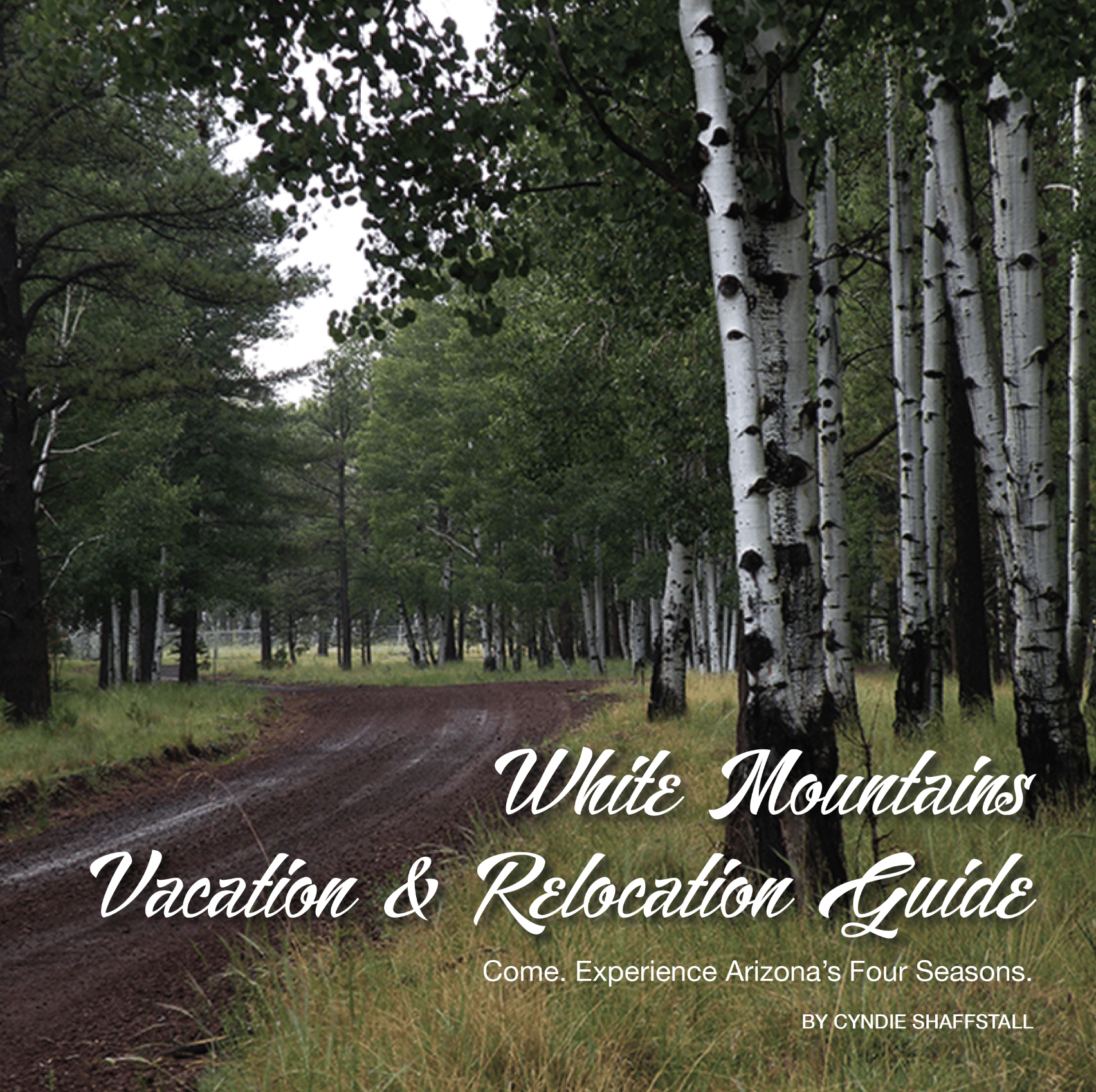 White Mountains Vacation & Relocation Guide (image)